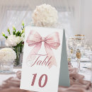Search for baby pink table cards Bow