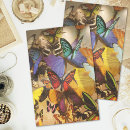 Search for 1980 tissue paper For her