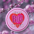 Search for new big brother badges Sister