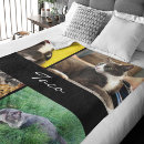 Search for cat blankets Modern