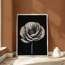 Search for black and white flower posters Botanical illustration