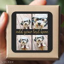 Search for stylish text stickers Chic