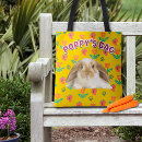 Search for rabbits and accessories Rabbit lover