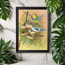 Search for tits posters Bird