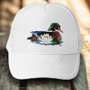 Search for lilies hats Water