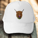 Search for highland cow hats Cute