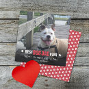 Search for dog valentines day cards Modern