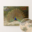 Search for peacock puzzles Gold