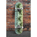 Search for palm tree skateboards Summer