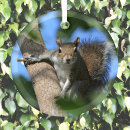 Search for alert photography Nature