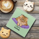 Search for attitude coasters Cat