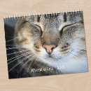 Search for cute animal calendars Cat