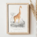 Search for vintage giraffes posters Zoo