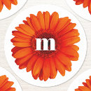 Search for gerbera daisies stickers Daisy