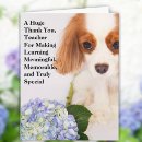 Search for teachers pet postcards Cavalier king charles spaniel
