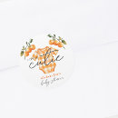 Search for clementine stickers Watercolor