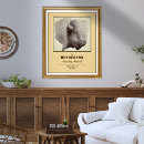 Search for buffaloes posters Wildlife