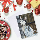 Search for adventure christmas cards Dog