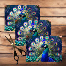 Search for gold and teal tissue paper Peacock