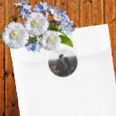 Search for photography wedding stickers Nature