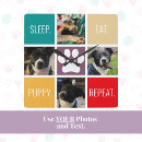 Search for funny dog clocks Modern