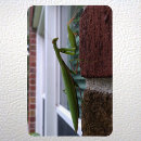 Search for prayed magnets Insect