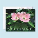 Search for business marketing postcards Modern