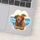 Search for cat vinyl stickers Laptop