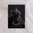 Search for cat sympathy cards In loving memory
