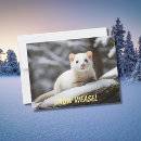 Search for lai postcards Snow