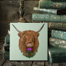 Search for cow tiles Scottish