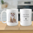Search for funny kitten mugs Puppy