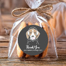 Search for funny beagle stickers Puppy