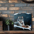 Search for wild cat lynx Winter