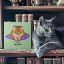 Search for attitude tiles Cat