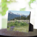 Search for meadow photography Mountains