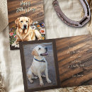 Search for dog fathers day cards Labrador retriever