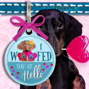 Search for hello pet supplies Blue