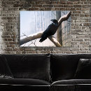 Search for crow in snow posters Nature