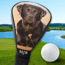 Search for labrador golf equipment Dog