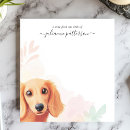 Search for long haired dachshund gifts Cute