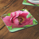 Search for tree peony Floral