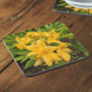 Search for azalea barware Botanical