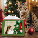 Search for funny christmas gift bags Cat