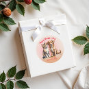 Search for cat and dog best friends stickers Dogs