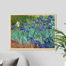 Search for irises posters Van gogh