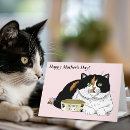 Search for spoiled cards Cat