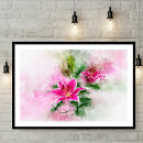 Search for stargazer lily posters Watercolor