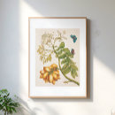 Search for vintage fruit posters Flowers