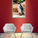 Search for endangered birds posters Nature